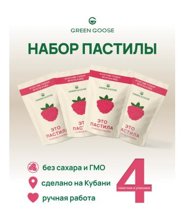 Green Goose Pastil without sugar from apples and raspberries 4pcs