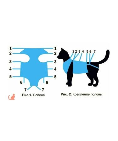 Postoperative Popon for Cats