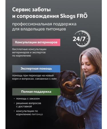 SkogsFRO Dry food for dogs of medium and large breeds beef 3 kg - Buy Online on GoSupps.com