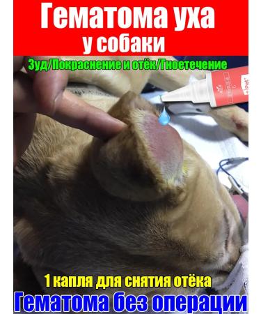 Ear Drops for Dogs