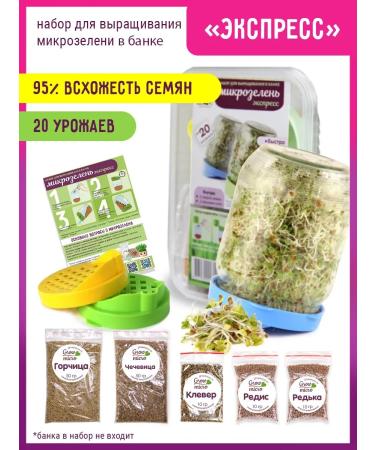 SeedSynapse Set "Express" seeds for germination in a bank