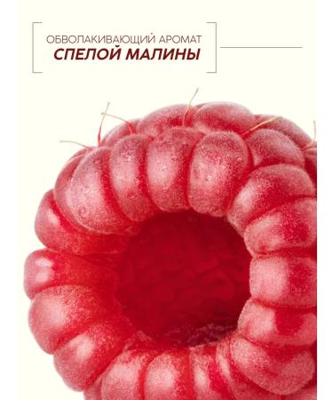 Pure happiness Hair balm raspberry 250 ml - Buy Online on GoSupps.com