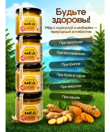 Treasures of the Taiga Honey with turmeric and ginger Altai natural - Buy Online on GoSupps.com