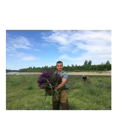 Danila Travnik Herbal breast collection of phytochai 150g - Buy Online on GoSupps.com