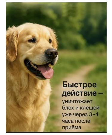 Zoetis Simeparika from ticks fleas and helminths 20-40 kg - Buy Online on GoSupps.com