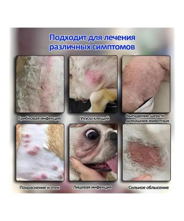Antipruritic spray for dog skin 100ml - Buy Online on GoSupps.com