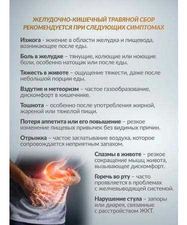 FOREST LINE Tea gastrointestinal 30 bags of herbal collection - Buy Online on GoSupps.com