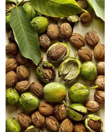 Nyam Nuts Walnut in the highest quality shell 1 kg - Buy Online on GoSupps.com