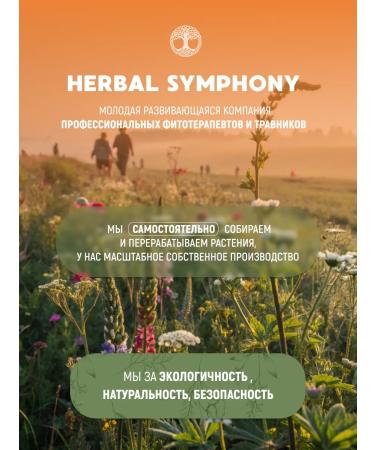 Herbal Symphony Verben liquid soap with a natural 250 ml dispenser - Buy Online on GoSupps.com