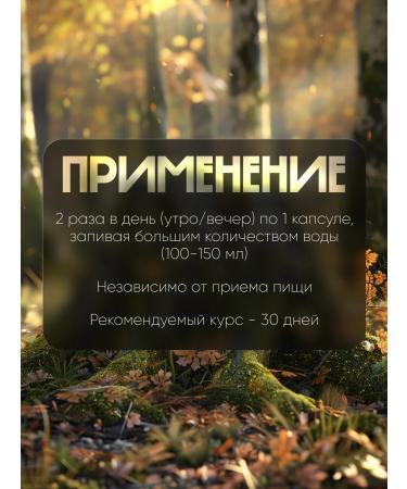 Lighting tool A1 L-Carnitine 1pc - Buy Online on GoSupps.com