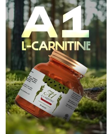Lighting tool A1 L-Carnitine 3pcs - Buy Online on GoSupps.com