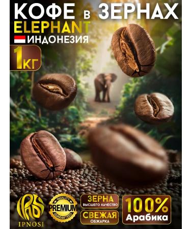 IPNOSI Coffee in grains 1 kg of arabica 100% Indonesia Elephant