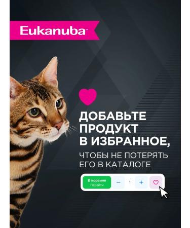 Eukanuba Wet food for cats with beef in the ADULT 28 pcs 85 g sauce - Buy Online on GoSupps.com