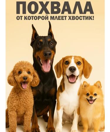 Dog's delicacies Light beef 50 grams - Buy Online on GoSupps.com