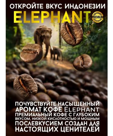 IPNOSI Coffee in grains 3 kg of arabica 100% Indonesia ElePhant - Buy Online on GoSupps.com