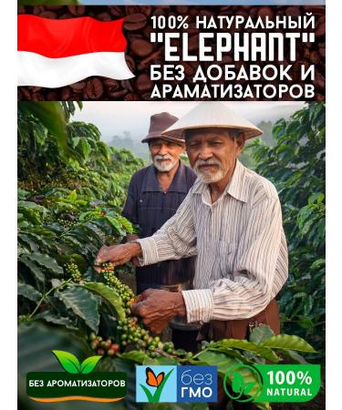 IPNOSI Coffee in grains 3 kg of arabica 100% Indonesia ElePhant - Buy Online on GoSupps.com