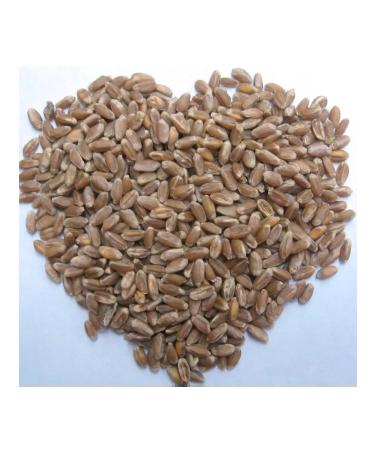 FooseedPlus Polba seeds are whole 3 kg for flour and healthy dishes - Buy Online on GoSupps.com