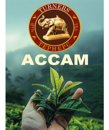 Turners Tea black leaf scattered Indian 100 g - Buy Online on GoSupps.com