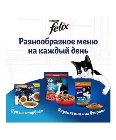FELIX pursuit of cat food with meat 3 kg - Buy Online on GoSupps.com