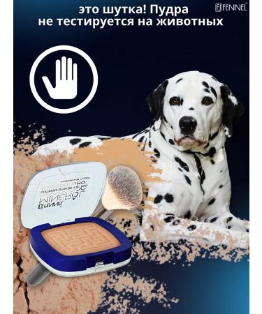 PowderMax Mineral powder for face compact tone Beige - Buy Online on GoSupps.com