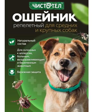 FleantickMax A collar from fleas and ticks with lavender for dogs 65 cm