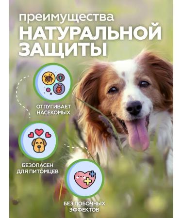 FleantickMax A collar from fleas and ticks with lavender for dogs 65 cm - Buy Online on GoSupps.com