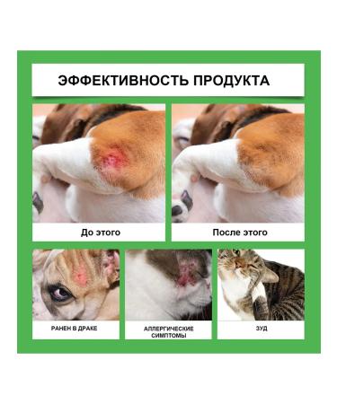 Pets care is removed by itching redness cream - Buy Online on GoSupps.com