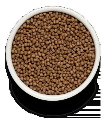 PREMIERPET Dry food for kittens fresh turkey meat 2kg - Buy Online on GoSupps.com