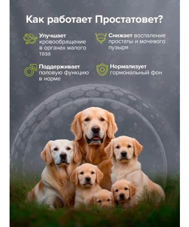 Pet's health Vitamins for the reproductive system of dogs - Buy Online on GoSupps.com
