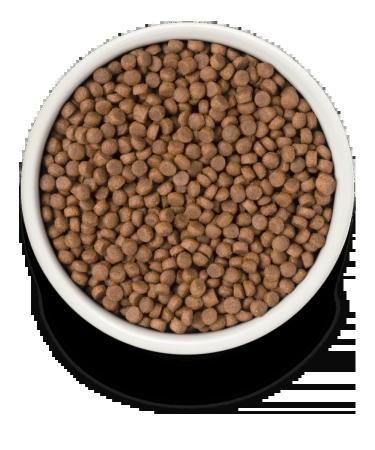 PREMIERPET Dry food for sterilized cats salmon with turkey 2kg - Buy Online on GoSupps.com