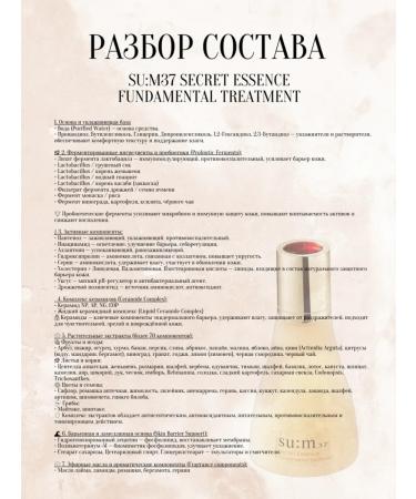 Su:m37 SECTION SECTIONS SECONE SECRET ESSSENCE - Buy Online on GoSupps.com