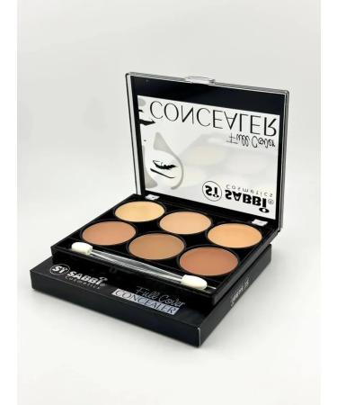 DASTAN3 Palette for makeup 6B1 tone02 - Buy Online on GoSupps.com