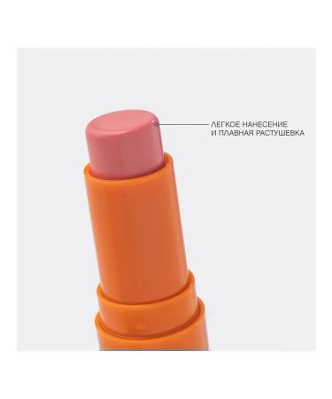 VIVIENNE SABO Facial blush in the francafrique stick matte - Buy Online on GoSupps.com