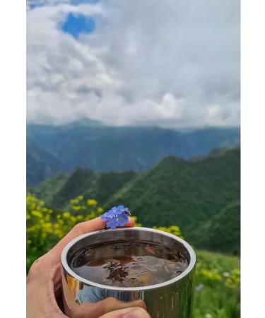 Tea drink "Shalbuzdag" herbal tea - Buy Online on GoSupps.com