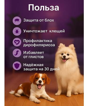 KRKA From fleas and ticks of Sealess for dogs from 2.6 to 5 kg - Buy Online on GoSupps.com