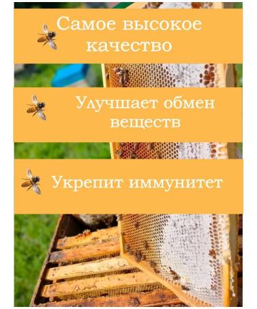 Altai taiga honey (Diaghilevy) 1 kg collection 2025 - Buy Online on GoSupps.com