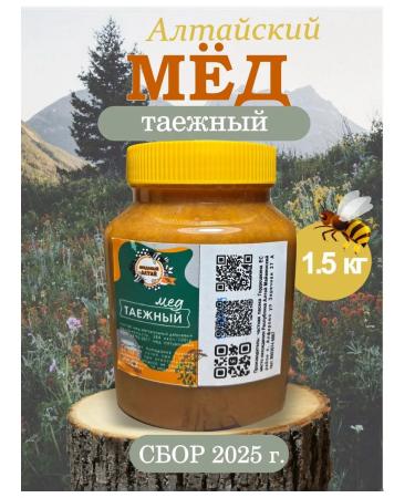 Altai taiga honey (Diaghilevy) 1 5 kg collection 2025