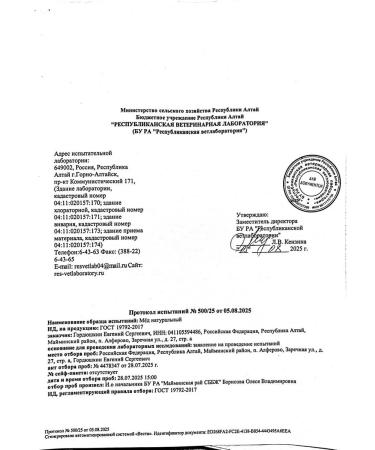 Altai buckwheat honey 1 5 kg collection 2025 - Buy Online on GoSupps.com