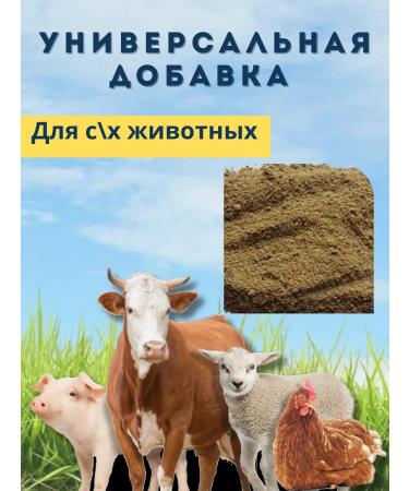 Meat-bone flour 15 kg vitamin-fake additive for chicken - Buy Online on GoSupps.com