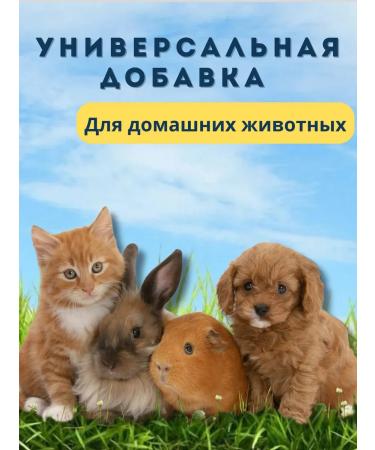 Meat-bone flour 15 kg vitamin-fake additive for chicken - Buy Online on GoSupps.com