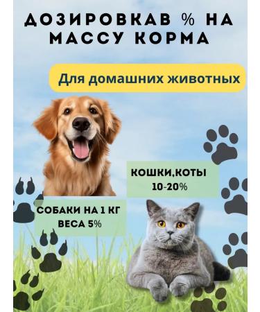 Meat-bone flour 15 kg vitamin-fake additive for chicken - Buy Online on GoSupps.com