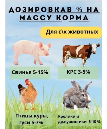 Meat-bone flour 15 kg vitamin-fake additive for chicken - Buy Online on GoSupps.com