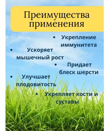 Meat-bone flour 15 kg vitamin-fake additive for chicken - Buy Online on GoSupps.com