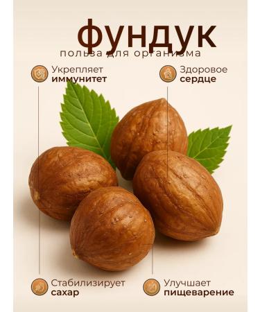 DAYSELI Mixture of hazel -haired walnuts of almonds cashew hazha - Buy Online on GoSupps.com