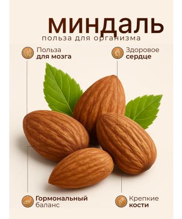 DAYSELI Mixture of nuts walnuts almonds cashews hazelnuts - fried - Buy Online on GoSupps.com