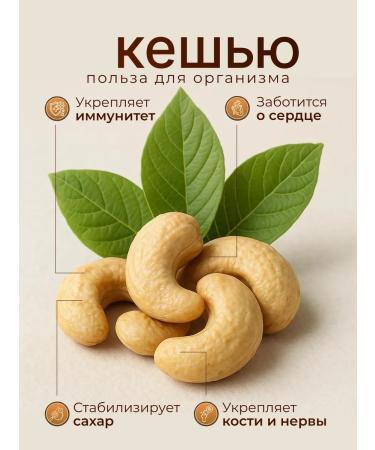 DAYSELI Mixture of nuts walnuts almonds cashews hazelnuts - fried - Buy Online on GoSupps.com