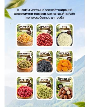 TAJ CRISTAL Mazafati dates with a bone without sugar 500 grams - Buy Online on GoSupps.com