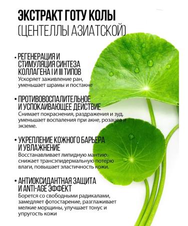 InQuality Biorevalizing and renewing cream with peptides and PDRN - Buy Online on GoSupps.com