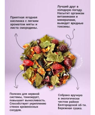 BRUSNIKATEA Tea berry vitamin 100 grams - Buy Online on GoSupps.com