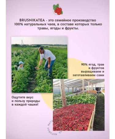 BRUSNIKATEA Tea berry vitamin 100 grams - Buy Online on GoSupps.com